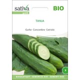 Sativa Bio kumara "Tanja" Cene