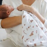 BabyOno Tetra plenice Muslin Rojstni dan, bež | Shoptok.si