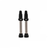 Wag CONIC TUBELESS VENTILI - 40mm,2kom,srebrni Cene