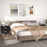 vidaXL Nočna omarica 2 kosa črna 40x35x47,5 cm Cene