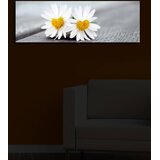 Wallity Zidna slika sa LED osvetljenjem 3090IACT-12, 30x90 cm | Eponuda.ba