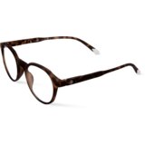 Barner unisex zaštitne naočare Chamberi - Tortoise | ePonuda.com