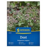 KIEPENKERL Zeliščna semena Origano (Origanum vulgare, Čas setve: Marec, Čas žetve: Julij) Cene