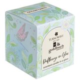 Goldbuch mirisna svijeća Turnowsky Nature's Melody, aroma Ceylon Canto | shoptok.hr