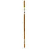 GARDOL Bambus štapovi (Natur, 50 cm, 10 Kom.) | shoptok.hr