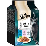 Ekonomično pakiranje Sheba Fresh & Fine 72 x 50 g - Tuna, losos i bijela riba u želeu | shoptok.hr