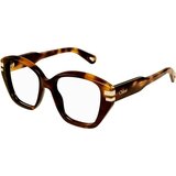 Chloe CH0267O 002 ONE SIZE (51) Havana/Kristalna Cene