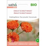 Sativa Bio enoletna roža "Emilia 'Scarlet Magic'" Cene