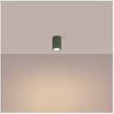 Nice Lamps Zelena stropna svetilka Gleam – | Shoptok.si