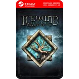  Icewind Dale Enhanced Edition - Steam koda brez škatlice (WINDOWS PC | STEAM DECK) | Shoptok.si