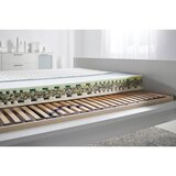Nadana Set Vzmetnice In Letvene Podlage Rocky, 140x200 Cm | Shoptok.si
