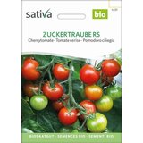 Sativa Češnjev paradižnik, Zuckertraube Cene