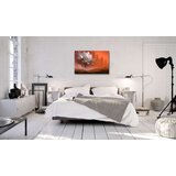  Slika - Land of Dreams 90x60 | shoptok.hr