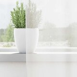 Voile zavjese s petljama 2 kom bijele 140x245 cm | Shoptok.si