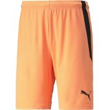 Puma Hlače 3/4, 7/8 Teamliga Oranžna Cene