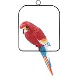  Baštenska figura papagaj 12x10x40 (PTA9802) | ePonuda.com