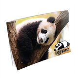 Blok za crtanje A3, 20 listova, Panda Cijene