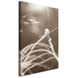  Slika - Fluffy Grass (1 Part) Vertical 20x30 | shoptok.hr