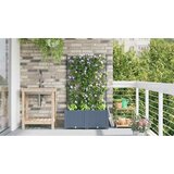  Vrtna saksija 2 pcs Svijetlo siva 80 x 40 x 143 cm Plastika | shoptok.hr