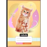  Nebulo: zvezek s kvadratki, A5 - različni | Shoptok.si
