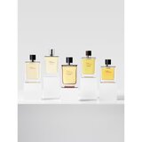 Hermès Terre d’parfumska voda intense za moške 100 ml | Shoptok.si