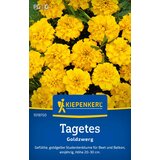 KIEPENKERL Žametnica "Goldzwerg" - 1 pkt. Cene