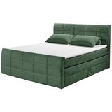 MID.YOU POSTELJA BOXSPRING 180 cm x 200 cm , tekstil, leseni material olivno zelena | Shoptok.si