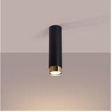 Nice Lamps Črna/v zlati barvi stropna svetilka Crown – | Shoptok.si