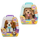 Dexyco LITTLE LIVE PETS MY REALLY REAL PUPPY Cene