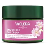 Weleda Wild Rose & White Tea Smoothing Day Cream dnevna krema za lice za sve vrste kože 40 ml za žene