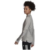Adidas Condivo 20 Training Top Siva | shoptok.hr