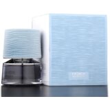 French Avenue Lumiere Garcon 100ml Cene