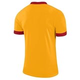 Nike JR Dry Park Derby II Jersey žuta | shoptok.hr