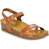 Dream in Green TSILI Smeđa | shoptok.hr