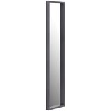 CARRYHOME STENSKO OGLEDALO, 33/138/4 cm steklo | Shoptok.si