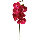 Atmosphera UMJETNO CVIJEĆE ORHIDEJA 108CM PES/PE BIJELA Slike