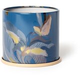 ILLUME x Bloomingville Dišeča sveča čas gorenja 50 h Citrus Crush – | Shoptok.si