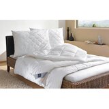 Billerbeck VZGLAVNIK Alcando 40/80 cm | Shoptok.si