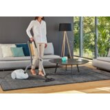 Rowenta RO3927 usisivač | ePonuda.com