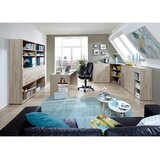 XORA OMARA ZA UMAZANO PERILO | Shoptok.si