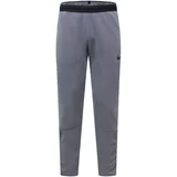 Nike Športne hlače siva / črna