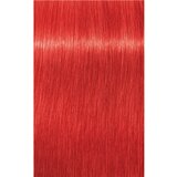 Schwarzkopf igora Royal - 0-88, rdeča-koncentrat, 60 ml | Shoptok.si