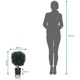 MID.YOU Umetna Rastlina Buxus | Shoptok.si