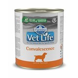 Farmina vet life veterinarska dijeta convalesence hrana u konzervi 300g Cene