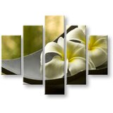 Slike na platnu 5-delne feng shui FS031E50 (moderne slike na) | shoptok.hr
