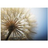 Samoljepljiva foto tapeta - Summer Delight 441x315 | shoptok.hr