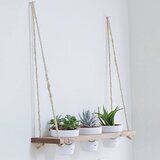 Hanah home Gar003 Walnut Wall Shelf | ePonuda.com