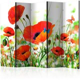 Artgeist Paravan Country Poppies I, Dvostranski, 5-Delni | Shoptok.si