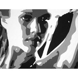  Ručno slikane slike na platnu pop art jessica alba | ePonuda.com
