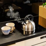  Kuhalo za vodu od nehrđajućeg čelika sa zviždaljkom 2L | shoptok.hr